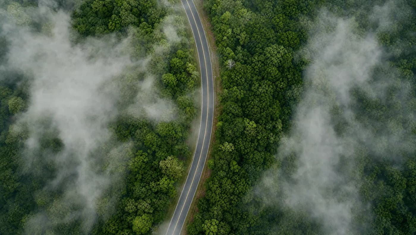 Vista aérea de estrada pavimentada cruzando floresta densa, com neblina entre as copas das árvores